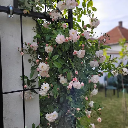 Semesterbostad Kisbagoly Vendeghaz Parád