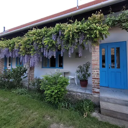 Kisbagoly Vendeghaz Holiday home Parad