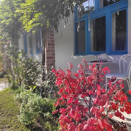 Kisbagoly *